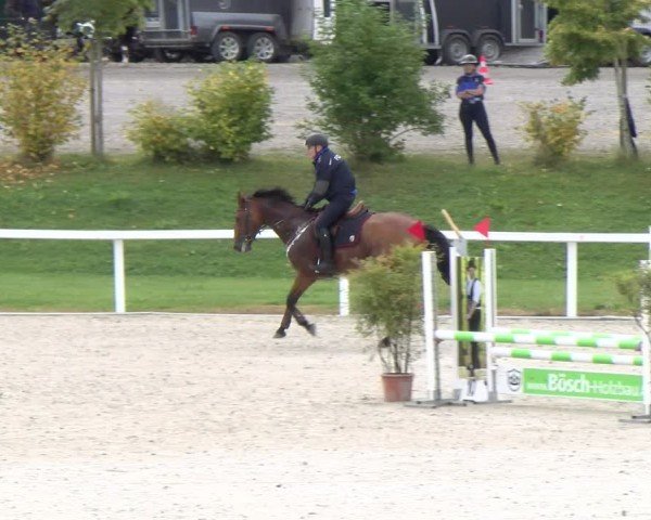 Reitturnier Bülach 2024