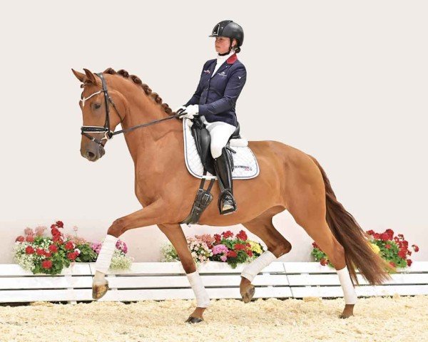 horse Victory (Oldenburg, 2021, from Vitalis)