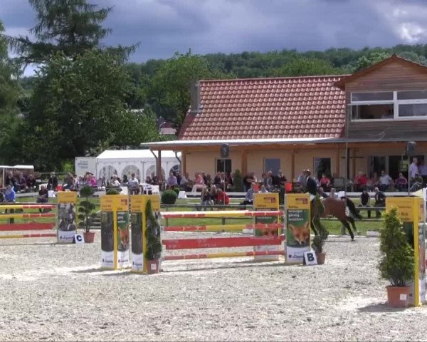 Remmighausen 2013