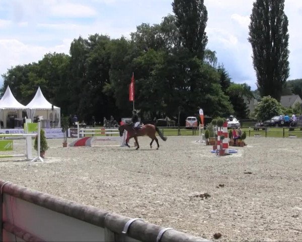 Remmighausen 2013