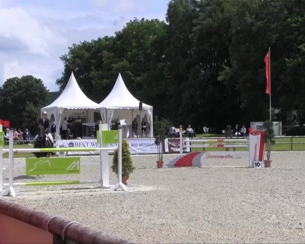 Remmighausen 2013