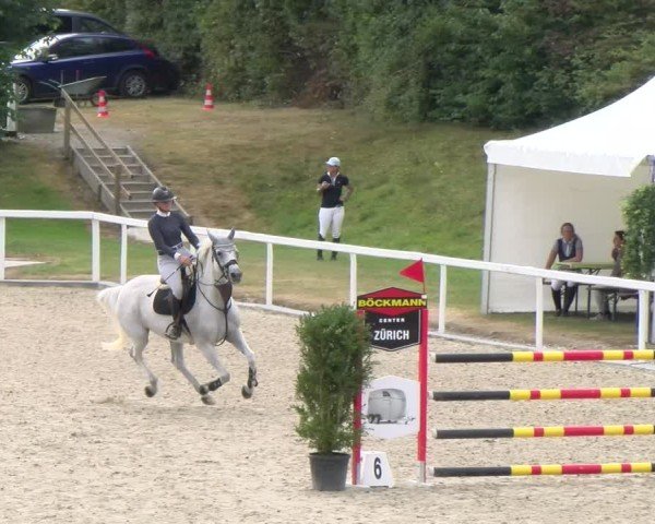 Reitturnier Bülach 2024