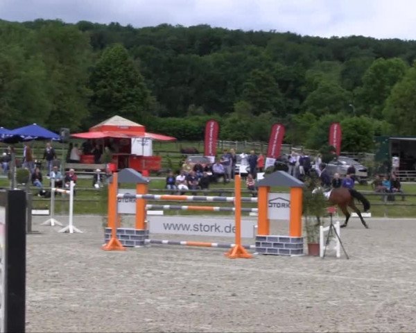Remmighausen 2013