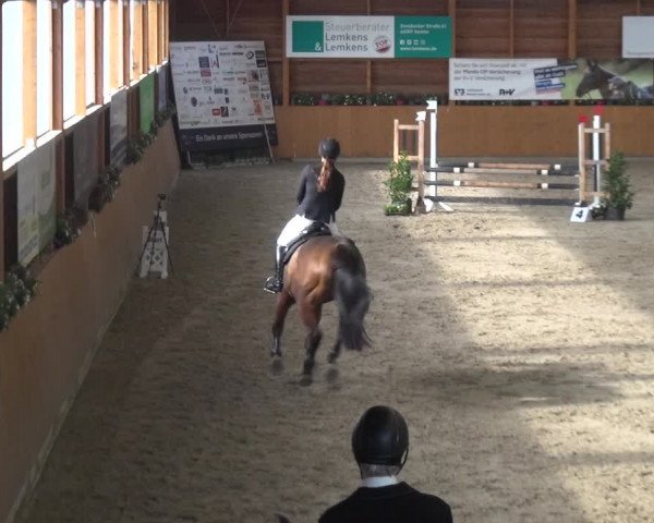Springturnier Xanten - Reitanlage Miss 2021