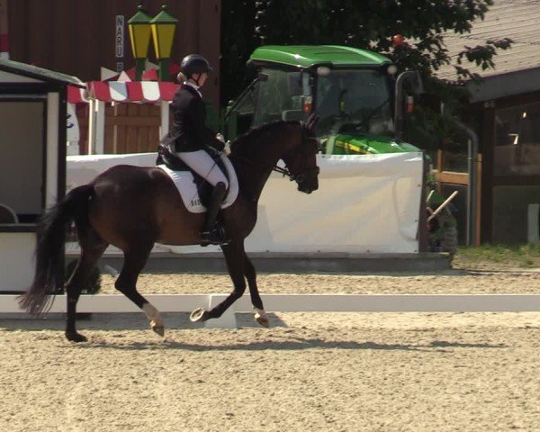 Reitturnier Leichlingen-Witzhelden 2024