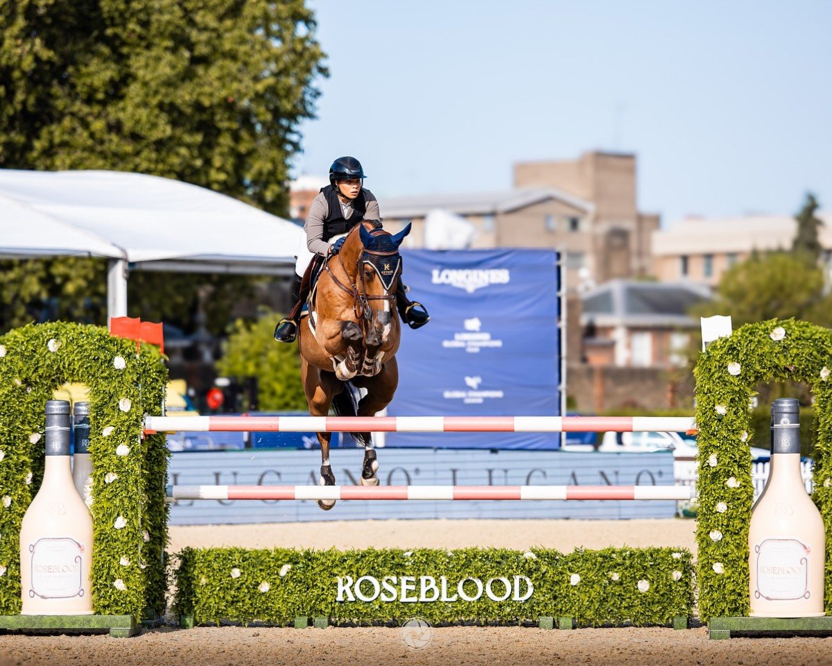 Springpferd K.i Guru (KWPN (Niederländisches Warmblut), 2011, von Cassini Gold)