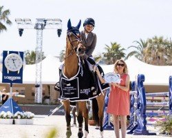 jumper K.i Germaine W (KWPN (Royal Dutch Sporthorse), 2011, from Eldorado van de Zeshoek)