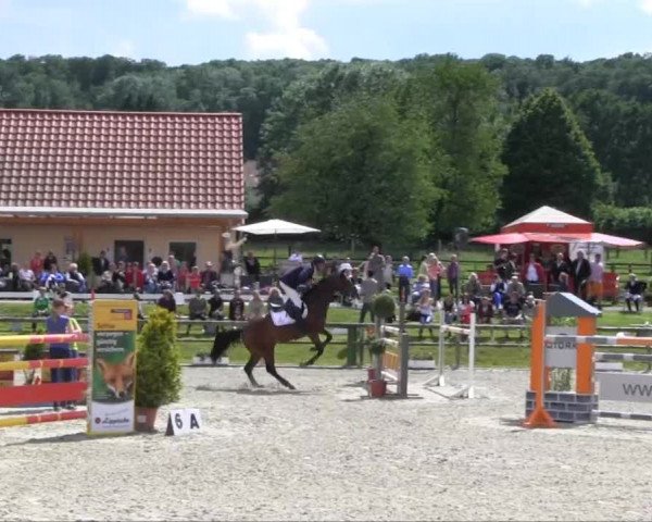 Remmighausen 2013