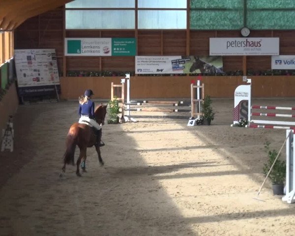 Springturnier Xanten - Reitanlage Miss 2021