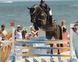 jumper Everton (KWPN (Royal Dutch Sporthorse), 2009, from Ukato)
