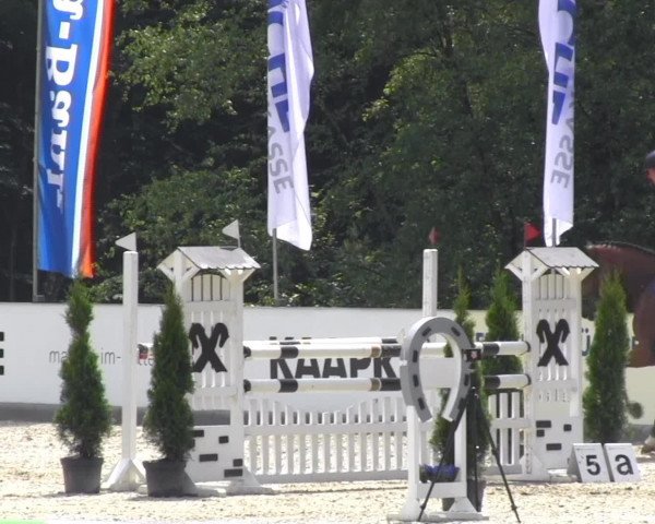 Weser-Ems-Meisterschaften 2013