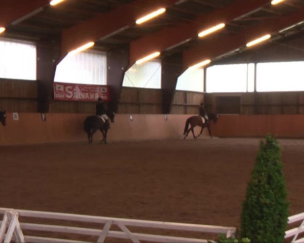Remmighausen 2013