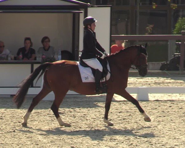 Reitturnier Leichlingen-Witzhelden 2024