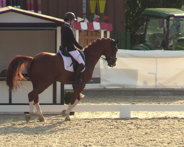 Reitturnier Leichlingen-Witzhelden 2024