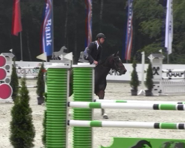 Reitturnier Cloppenburg 2013