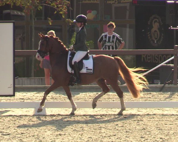 Reitturnier Leichlingen-Witzhelden 2024