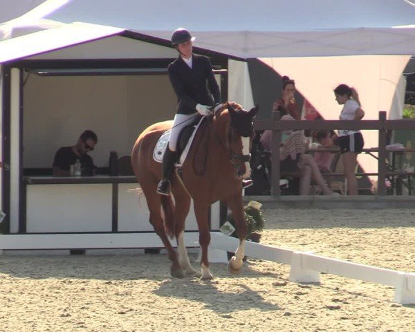 Reitturnier Leichlingen-Witzhelden 2024