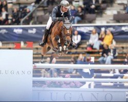 jumper Jackpot R (KWPN (Royal Dutch Sporthorse), 2014, from Eldorado van de Zeshoek)