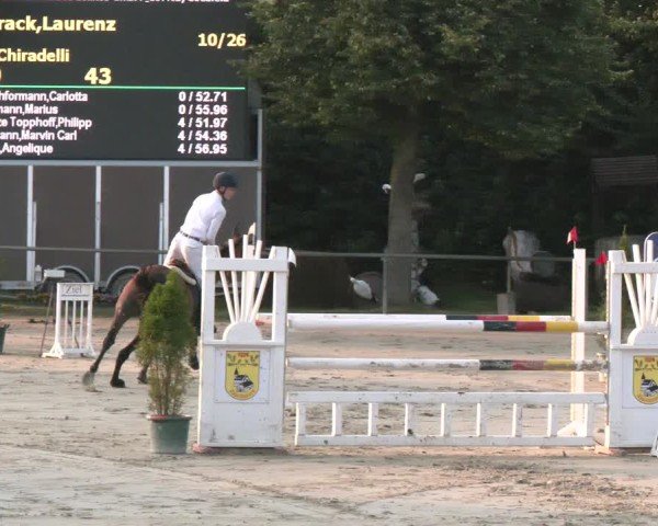 Reitturnier Appelhülsen 2024