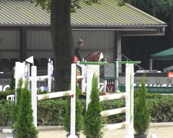 Reitturnier Cloppenburg 2013