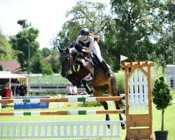 Springpferd Flying Power Girl (unbekannt, 2014, von Senna 14)