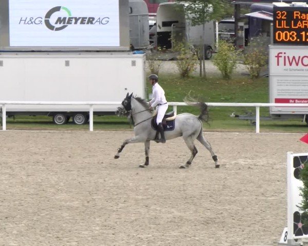 Reitturnier Bülach 2024