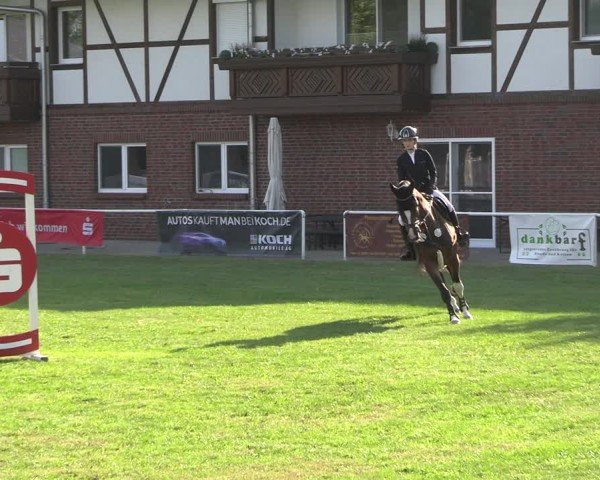 Reitturnier Münchehofe 2024