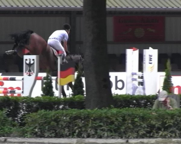 Reitturnier Cloppenburg 2013
