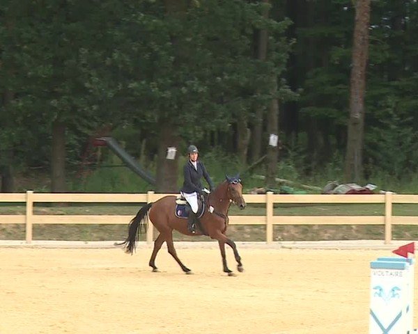 Reitturnier Tiefenhof/Opf. 2024