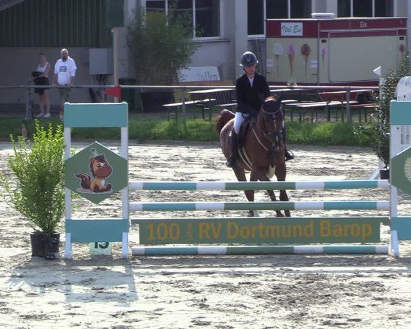 Reitturnier Dortmund-Barop 2024