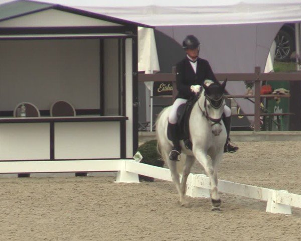 Reitturnier Leichlingen-Witzhelden 2024