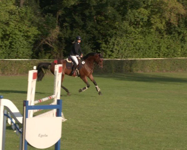 Reitturnier Westeregeln 2024