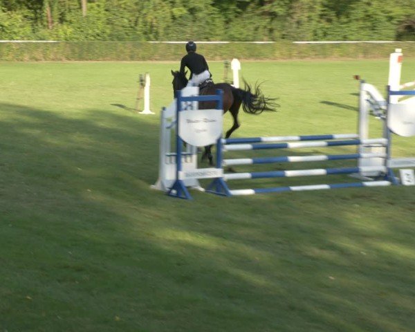 Reitturnier Westeregeln 2024