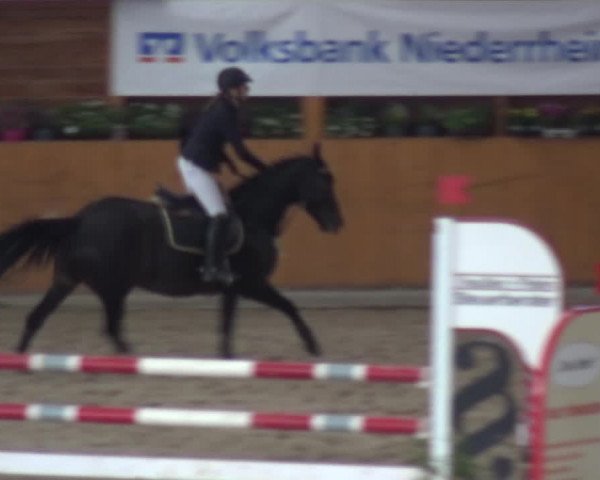 Springturnier Xanten - Reitanlage Miss 2021