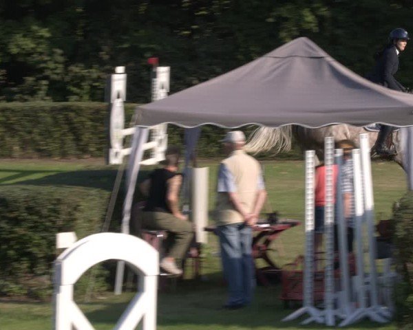 Reitturnier Westeregeln 2024