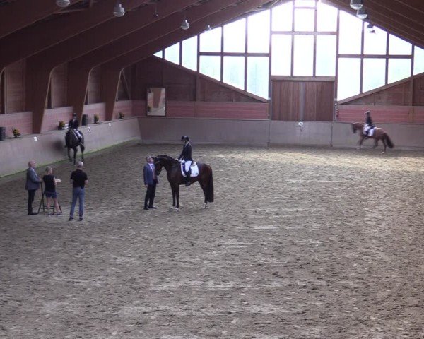 Reitturnier Dortmund-Barop 2024