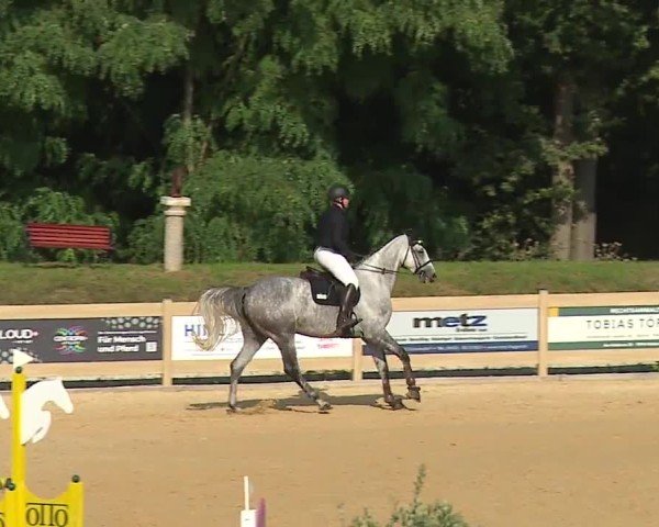 Reitturnier Tiefenhof/Opf. 2024
