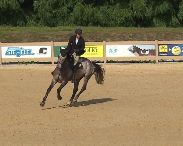 Reitturnier Tiefenhof/Opf. 2024