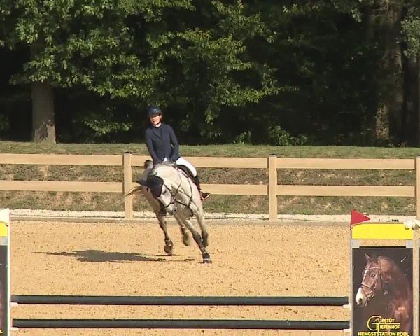 Reitturnier Tiefenhof/Opf. 2024