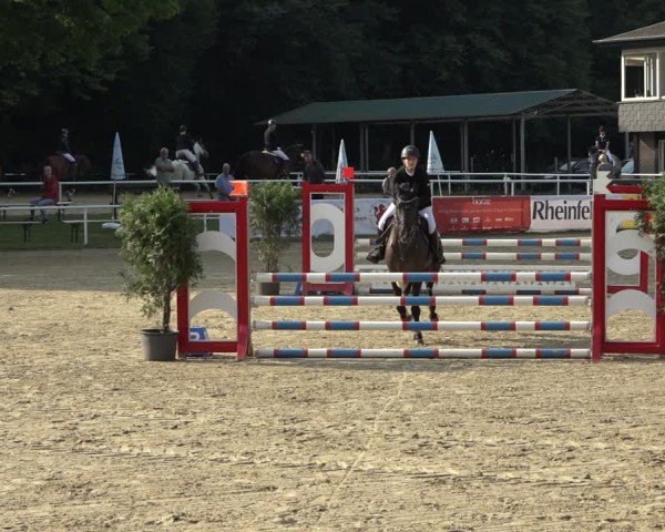 Reitturnier Dinslaken-Hiesfeld 2024