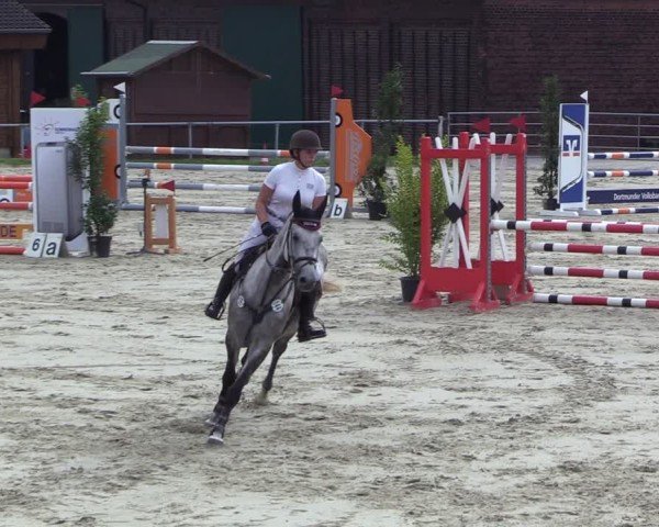 Reitturnier Dortmund-Barop 2024