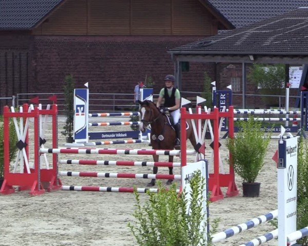 Reitturnier Dortmund-Barop 2024
