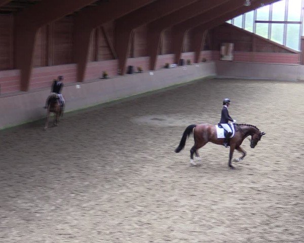 Reitturnier Dortmund-Barop 2024