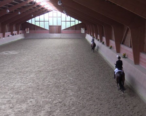 Reitturnier Dortmund-Barop 2024