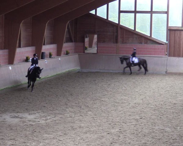 Reitturnier Dortmund-Barop 2024