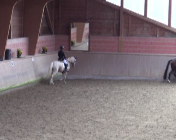 Reitturnier Dortmund-Barop 2024