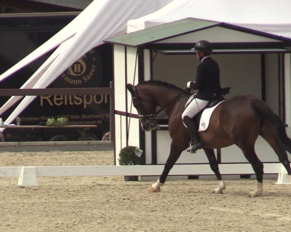 Reitturnier Leichlingen-Witzhelden 2024