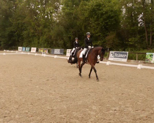 Reitturnier Leonberg 2024