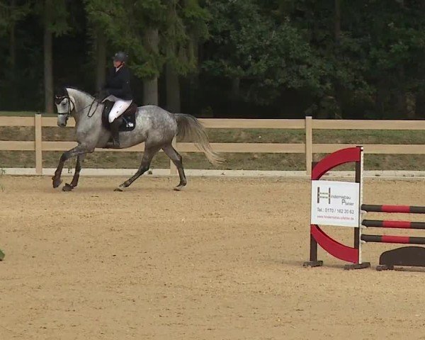 Reitturnier Tiefenhof/Opf. 2024