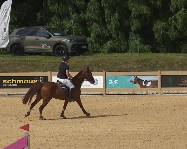 Reitturnier Tiefenhof/Opf. 2024